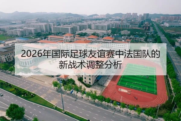2026年国际足球友谊赛中法国队的新战术调整分析